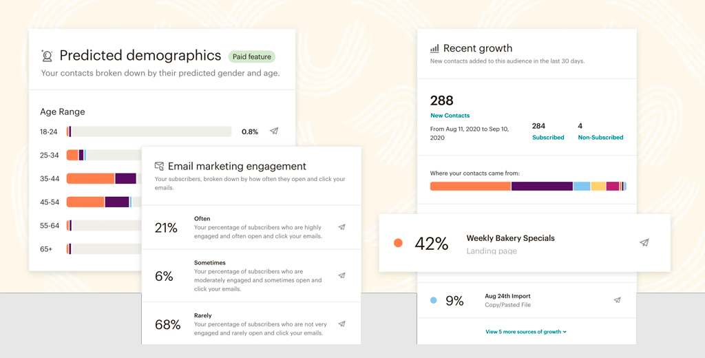 Audience MailChimp